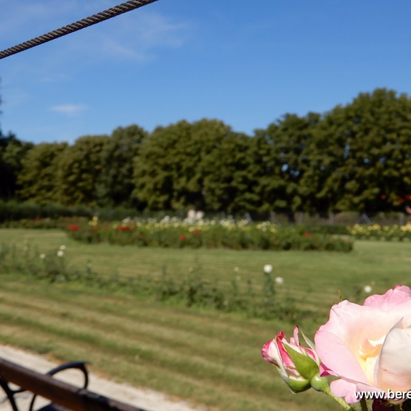 berettyóújfalu az esterházy barokk ételfőző fesztiválon 38